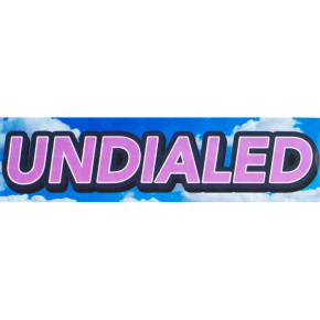 Naklejka Undialed Logo Sky