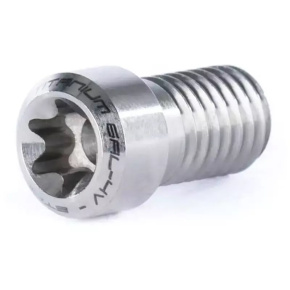 Ethic Titanium Clamp Screw (Unity) Raw Ethic Titanium Clamp Screw (Unity) Raw