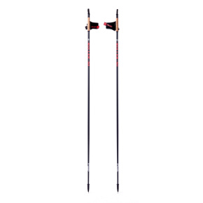 Kije narciarskie Longway 50% Carbon 165cm