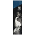 Griptape Union Hot Parts Teal