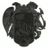Skradziona odznaka (10 Year Crest|Płaska)