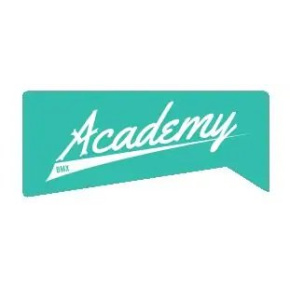 Naklejka promocyjna Academy (Box Logo Teal)
