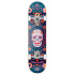 Deskorolka Hydroponic Mexican 7.75" Blue Skull