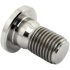 TLC Profile/Madera Titanium BMX Sprocket Bolt (Natural)