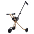 Micro Trike Deluxe Złoty