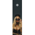 Griptape Core Hot Girl