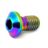 TLC Titanium BMX Transducer Bolt (Rainbow)