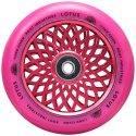 Kółka Root Lotus 110x24 mm Radiant Pink 2 szt.