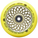 Kółka Root Lotus 110x24 mm Radiant Yellow 2 szt.